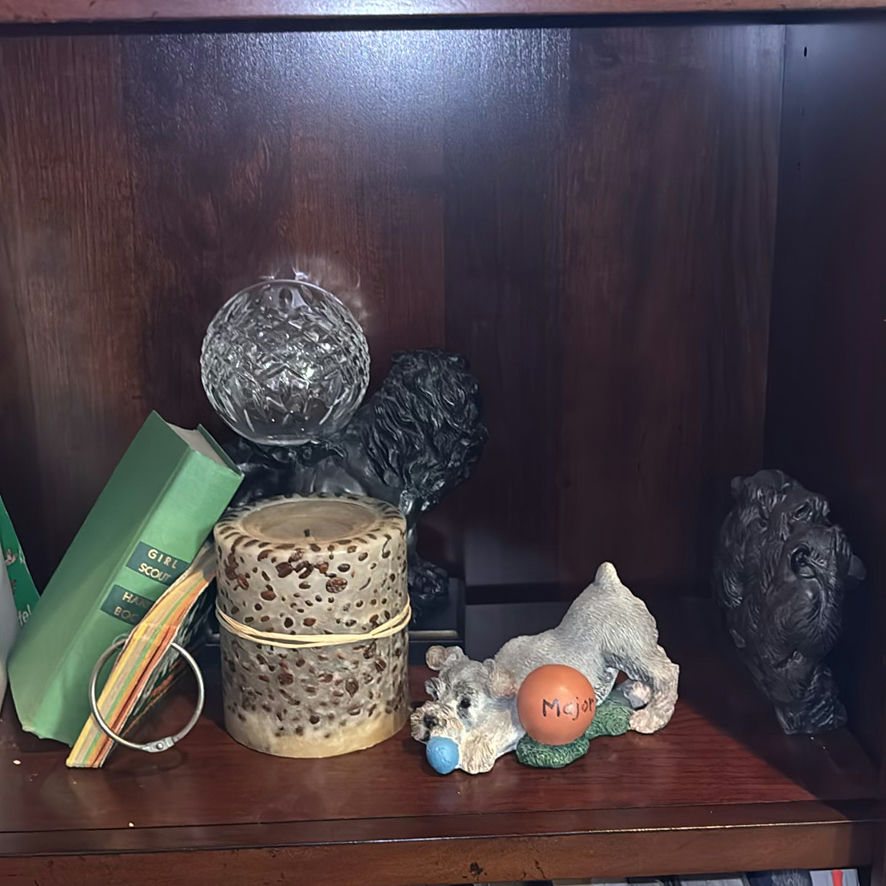 Wooden Bookshelf with Books and Decorative Items - image 4 of 15