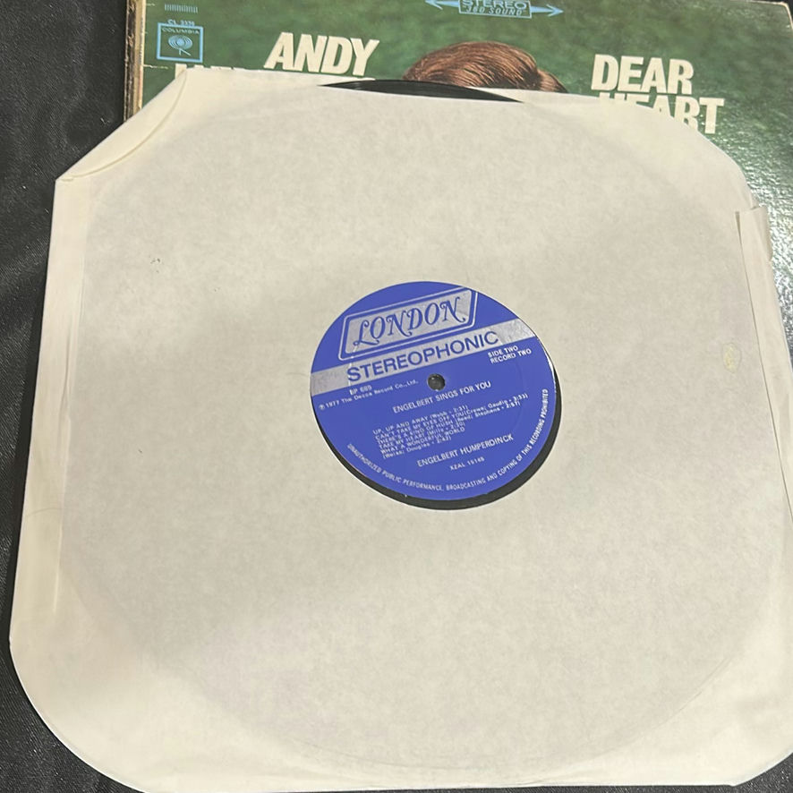Vintage Vocal and Pop Vinyl Record Albums - image 9 of 18