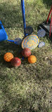 Assorted Outdoor Decorative Pots and Garden Ornaments - thumbnail 14 of 16