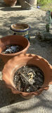 Assorted Decorative Planters and Frog Garden Statues - thumbnail 6 of 6