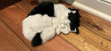 Stuffed Unicorn Plush Toy and Black and White Cat Plush - thumbnail 2 of 6