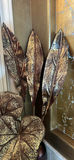 Decorative Vase with Artificial Leaf Arrangement - thumbnail 3 of 5