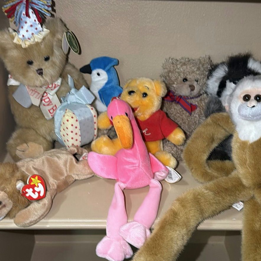 Assorted Plush Toys and Stuffed Animals - image 1 of 7