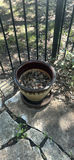Metal Patio Chair and Decorative Planters - thumbnail 3 of 9