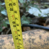 Decorative Outdoor Planters and Urns - thumbnail 7 of 7