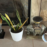 Christmas Figurines and Decorative Glass Sculpture - thumbnail 7 of 7