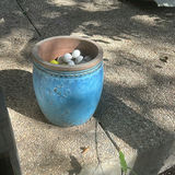 Decorative Lanterns, Candles, and Assorted Planters - thumbnail 3 of 5