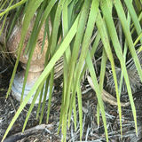 Outdoor Decorative Garden Pots and Planters - thumbnail 3 of 5