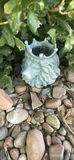 Outdoor Decorative Garden Pots and Planters - thumbnail 1 of 5