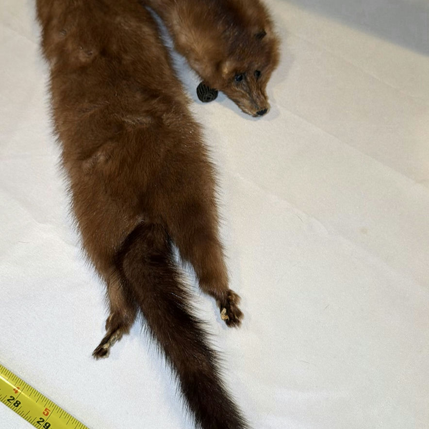 Mink Fur Stole - image 5 of 6