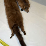 Mink Fur Stole - thumbnail 5 of 6