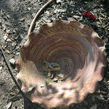 Assorted Outdoor Decorative Pots and Garden Ornaments - thumbnail 3 of 16