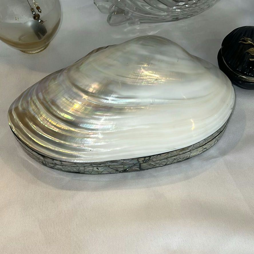 Decorative Glass and Shell Home Decor Items - image 2 of 12