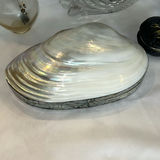 Decorative Glass and Shell Home Decor Items - thumbnail 2 of 12