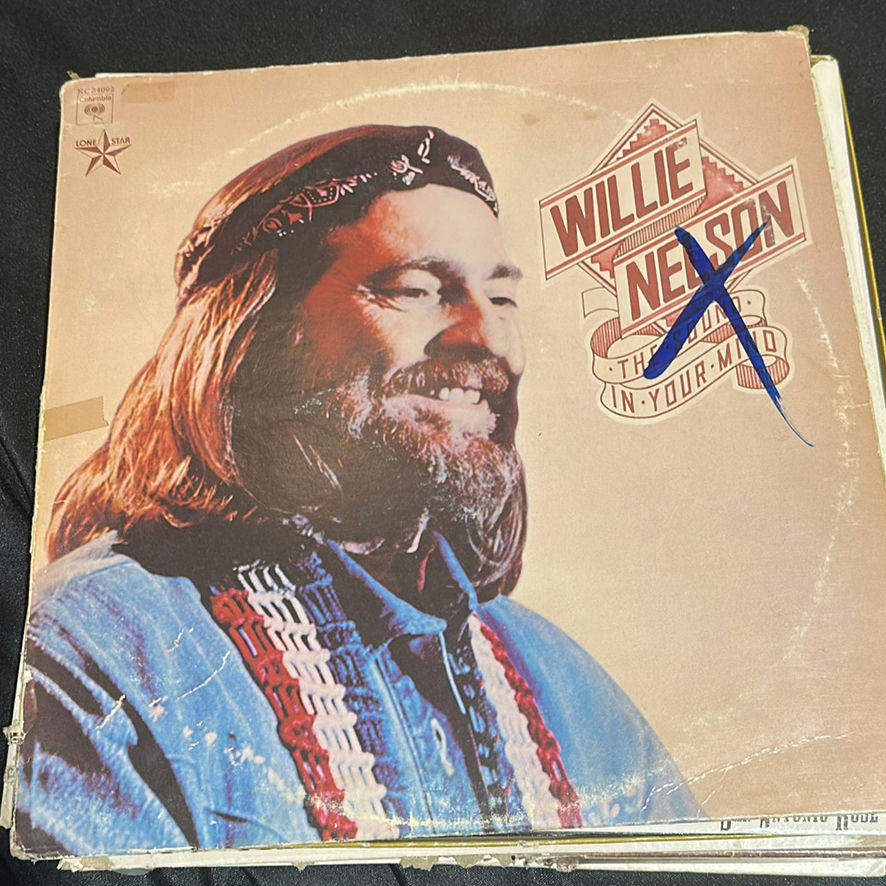 Collection of Country and Western Vinyl Records - image 9 of 9