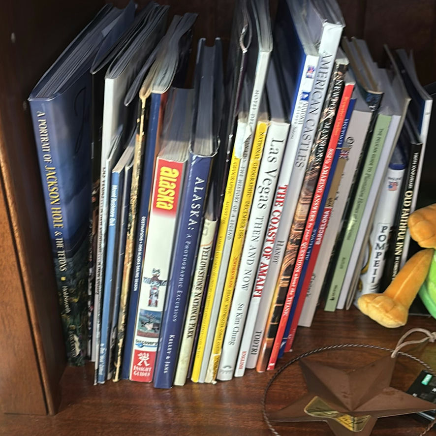 Books, Elephant Figurines, and Speaker on Wooden Bookshelf - image 6 of 17