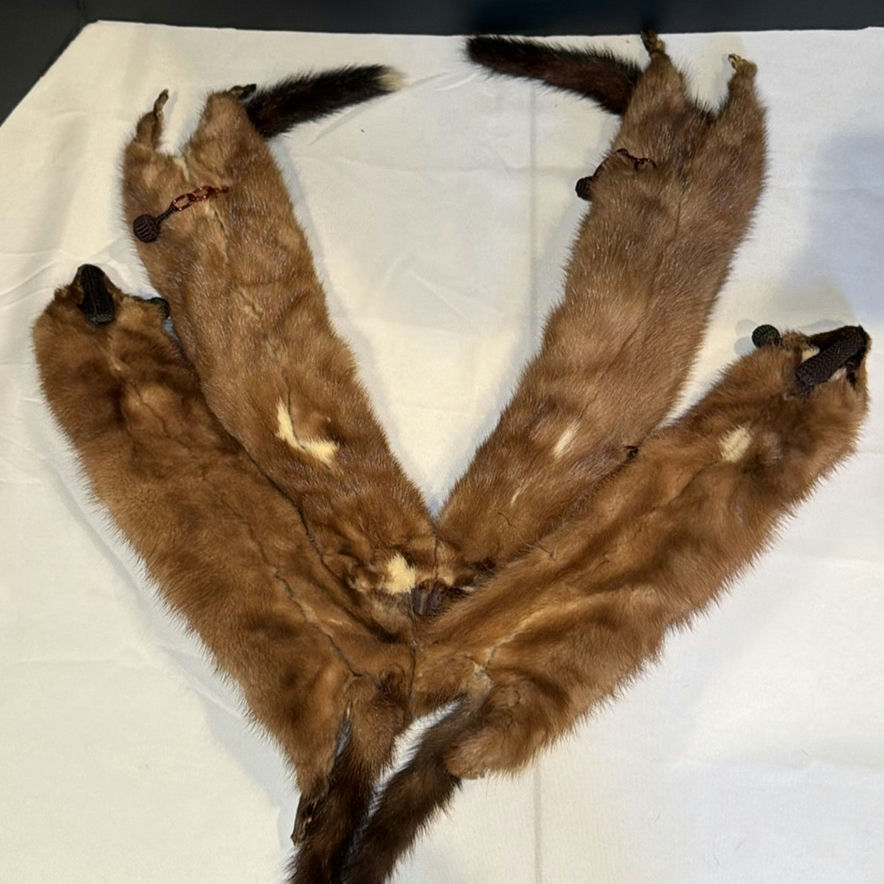 Mink Fur Stole - image 6 of 6