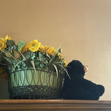 Wood China Cabinet with Tiffany & Co. China, Glassware, and Decorative Items - thumbnail 14 of 16