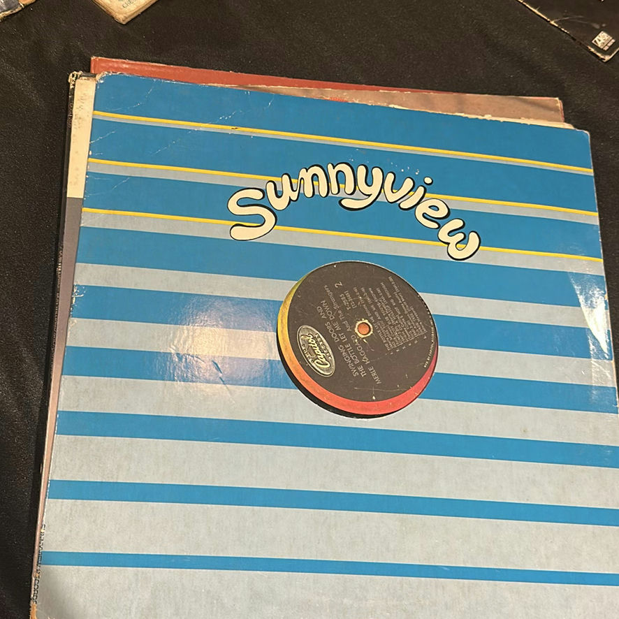 Country Music Vinyl Record Albums and Single - image 12 of 24