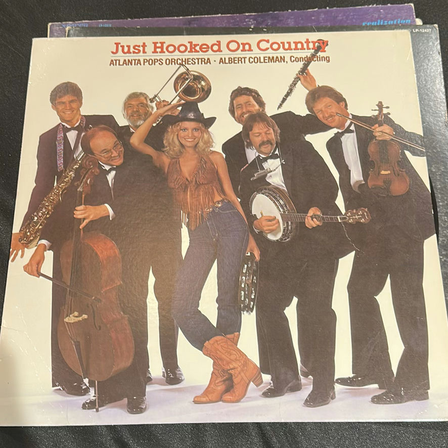 Collection of Vinyl Record Albums and Singles - image 5 of 22
