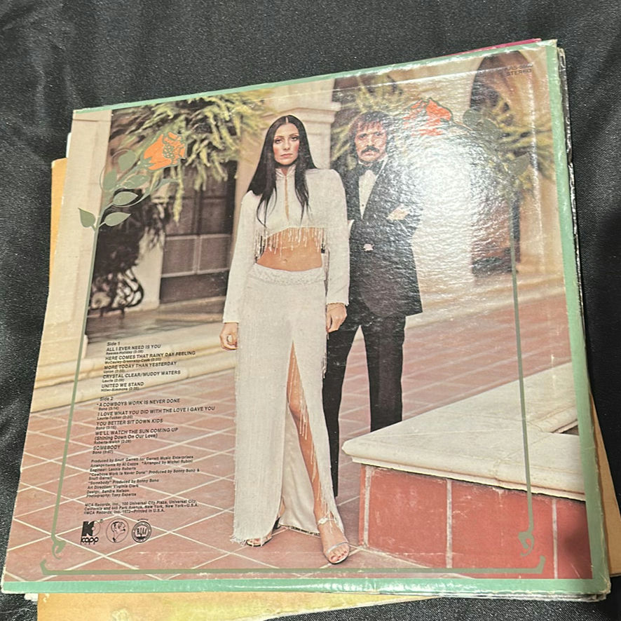 Collection of Vinyl Record Albums Including Michael Jackson, Cher, and Three Dog Night - image 3 of 9