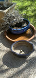Assorted Decorative Planters and Frog Garden Statues - thumbnail 5 of 6