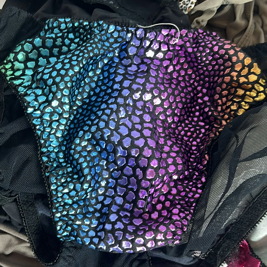 Assorted Women's Panties and Underwear - image 9 of 10
