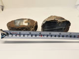 2 pieces of ThunderEgg - Oregon geodes, a nodule-like rock filled with agate formed within volcanic ash layers - thumbnail 5 of 11