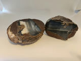 2 pieces of ThunderEgg - Oregon geodes, a nodule-like rock filled with agate formed within volcanic ash layers - thumbnail 7 of 11