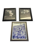 Framed Floral Art Prints – Two Orchid Photographic Prints & One Hydrangea Close-Up (Lot of 3) Description - thumbnail 5 of 5