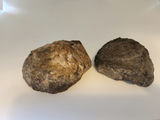 2 pieces of ThunderEgg - Oregon geodes, a nodule-like rock filled with agate formed within volcanic ash layers - thumbnail 11 of 11