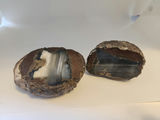 2 pieces of ThunderEgg - Oregon geodes, a nodule-like rock filled with agate formed within volcanic ash layers - thumbnail 8 of 11