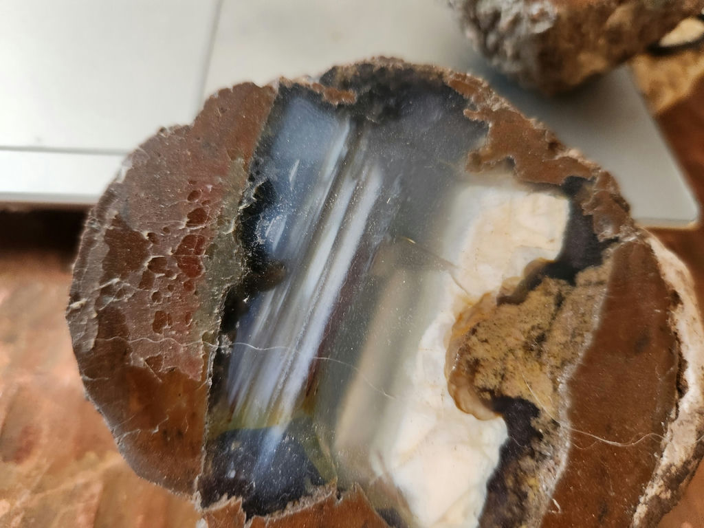 2 pieces of ThunderEgg - Oregon geodes, a nodule-like rock filled with agate formed within volcanic ash layers - image 2 of 11