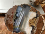 2 pieces of ThunderEgg - Oregon geodes, a nodule-like rock filled with agate formed within volcanic ash layers - thumbnail 2 of 11