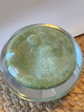 Vintage Vetri MURANO Barovier & Toso Glass Millefiori Art Glass Paperweight Green Yellow Micro Flowers - thumbnail 7 of 9