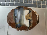2 pieces of ThunderEgg - Oregon geodes, a nodule-like rock filled with agate formed within volcanic ash layers - thumbnail 4 of 11