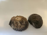 2 pieces of ThunderEgg - Oregon geodes, a nodule-like rock filled with agate formed within volcanic ash layers - thumbnail 10 of 11
