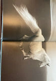 Horsey Stuff - thumbnail 7 of 8
