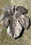 Yard Art - thumbnail 6 of 11