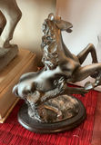 Horsey Stuff - thumbnail 5 of 8