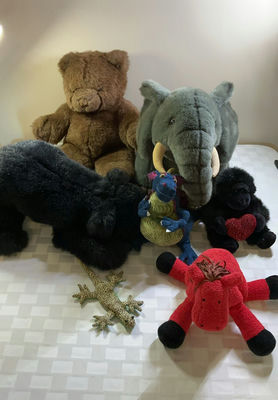 Stuffed Animals And More - Image 1 of 7