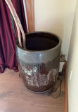 Tall Pony Tail Tree In Ceramic Pot - thumbnail 2 of 5