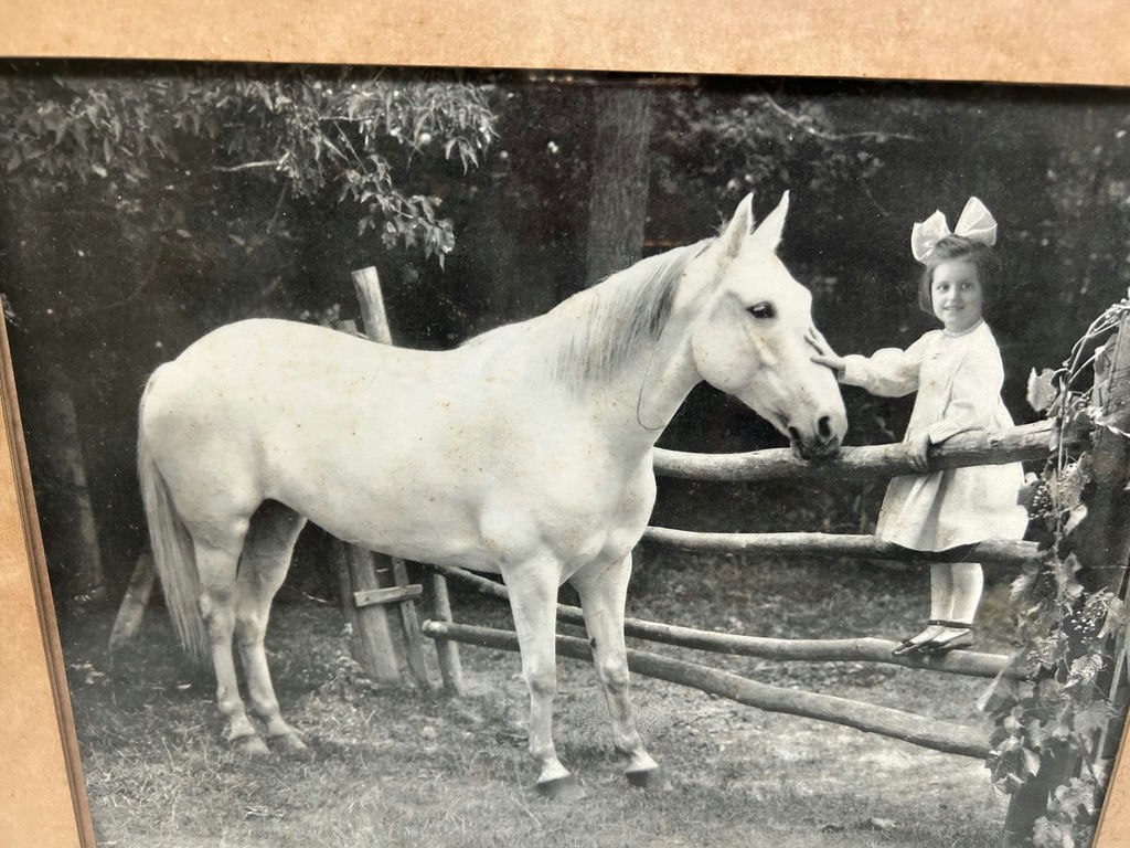 Vintage Photo Young Girl Patting a Horse - image 3 of 6