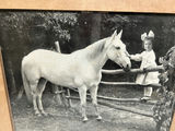 Vintage Photo Young Girl Patting a Horse - thumbnail 3 of 6