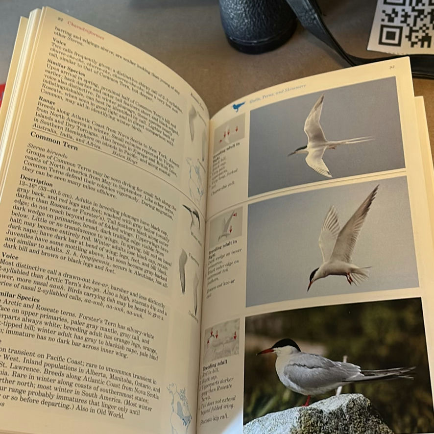 Birding Books with Binoculars - image 6 of 13