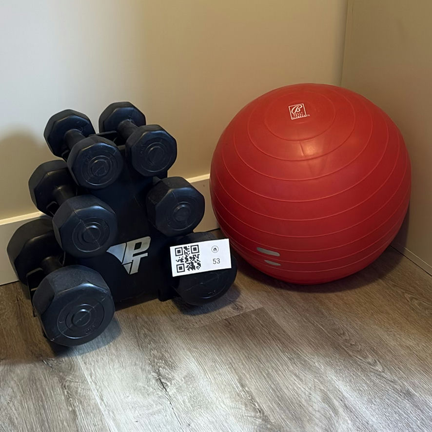 Vinyl Dumbbell Set with Rack and Bally Total Fitness Exercise Ball - image 1 of 8