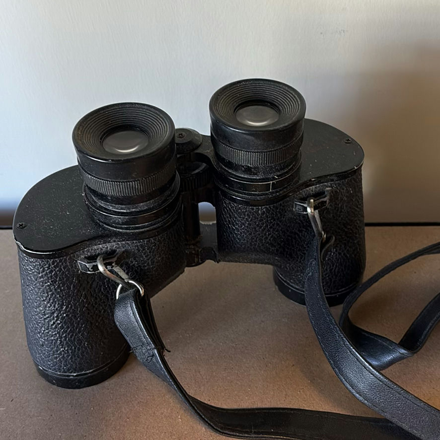 Birding Books with Binoculars - image 10 of 13