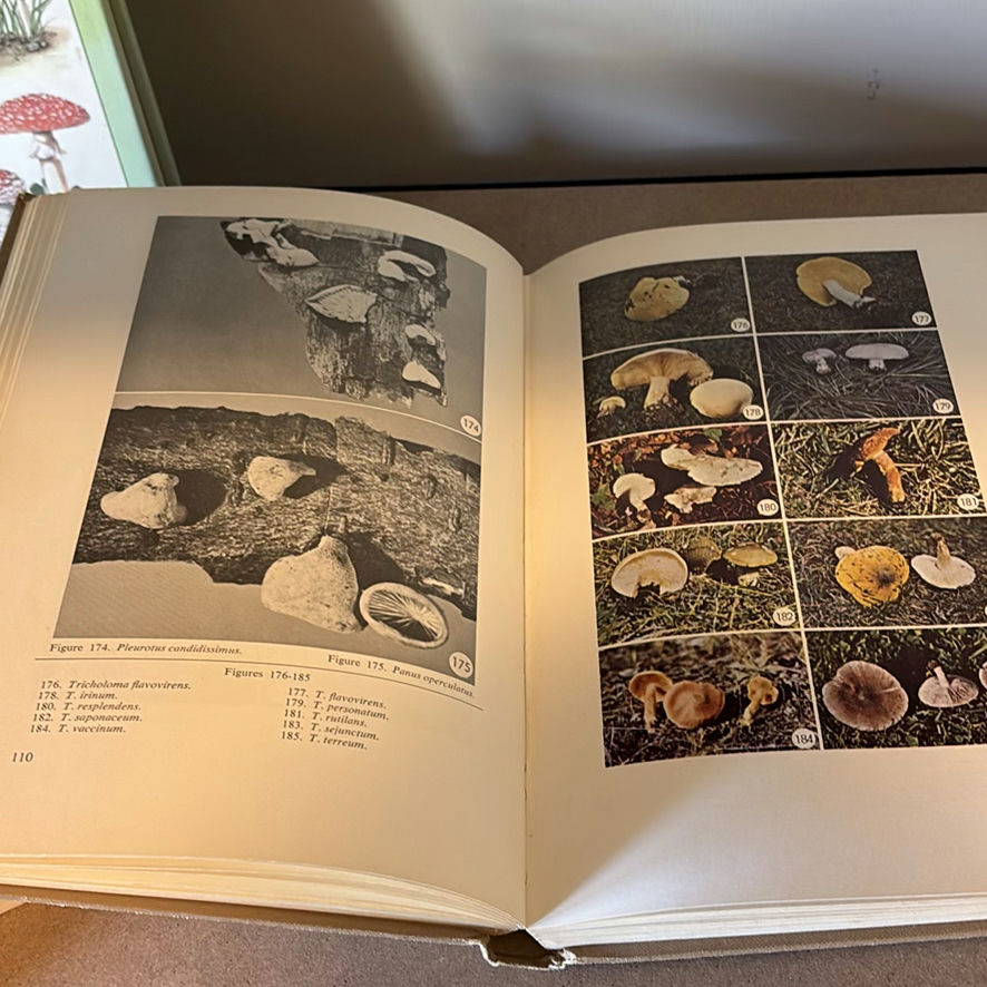 Collection Of Mushroom Guide Books - image 4 of 9