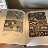 Collection Of Mushroom Guide Books - thumbnail 4 of 9