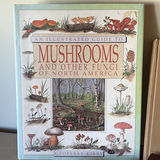 Collection Of Mushroom Guide Books - thumbnail 2 of 9